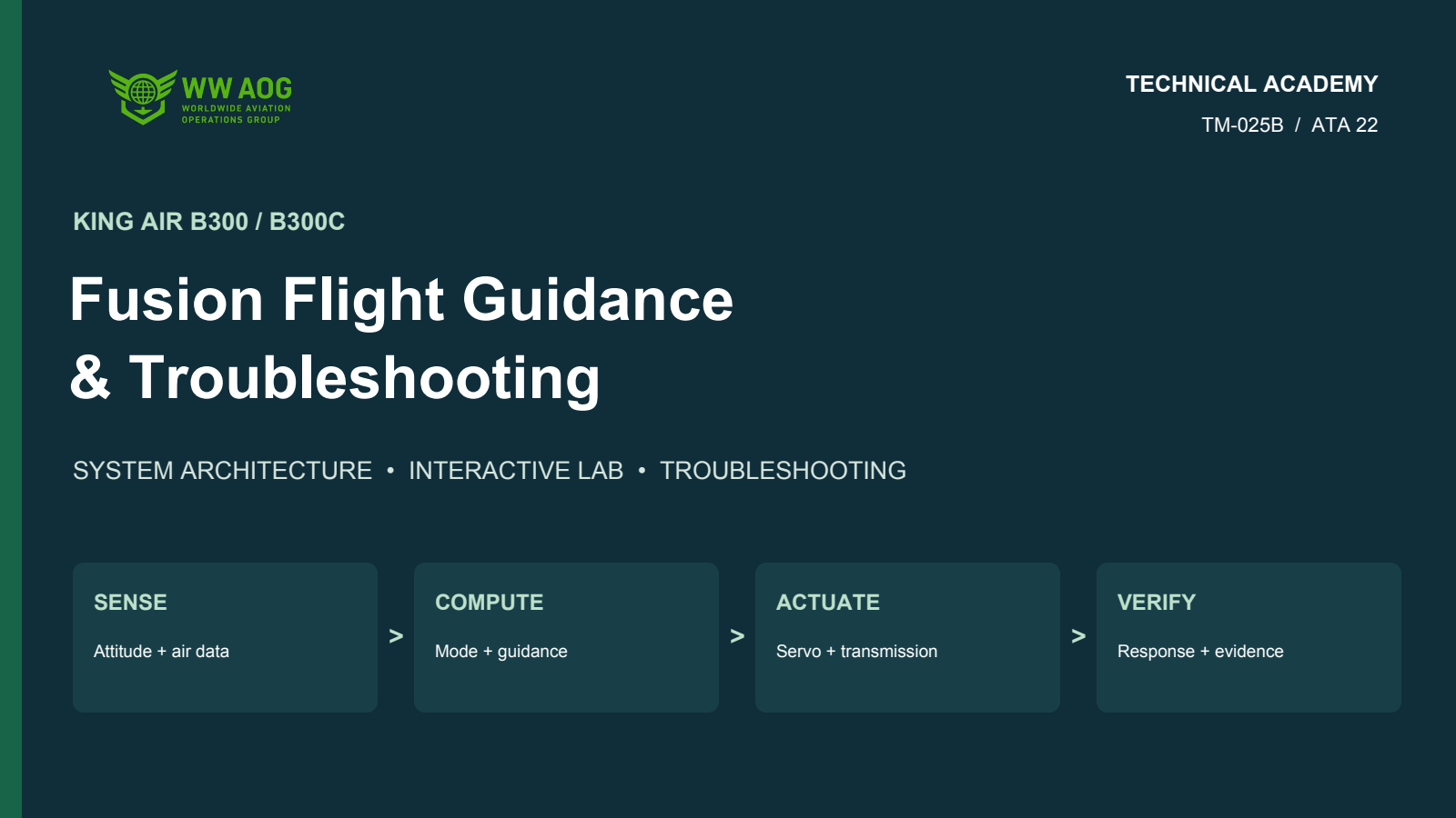 King Air Fusion Flight Guidance & Troubleshooting — WWAOG course cover